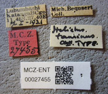 Media type: image;   Entomology 27455 Aspect: labels